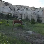 Anatolia Cave 괴레메
