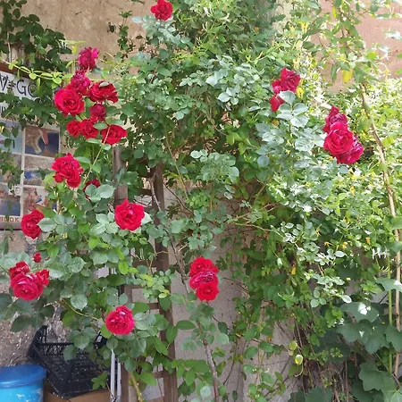 Pensionat Anatolia Cave 2*