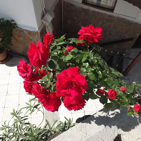 Anatolia Cave Pensionat 2*