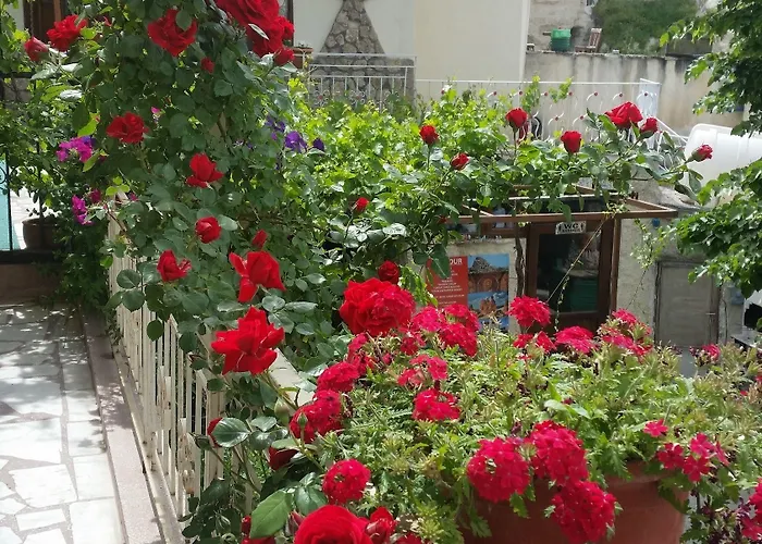 게스트하우스 Anatolia Cave 괴레메