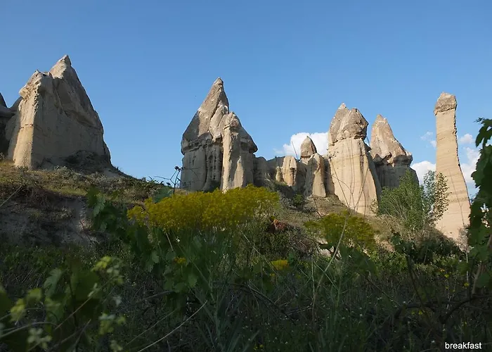 게스트하우스 Anatolia Cave