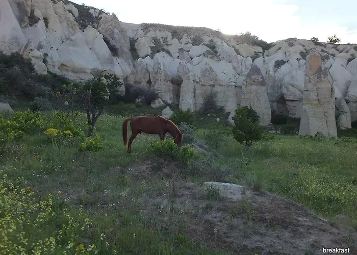 Anatolia Cave 괴레메