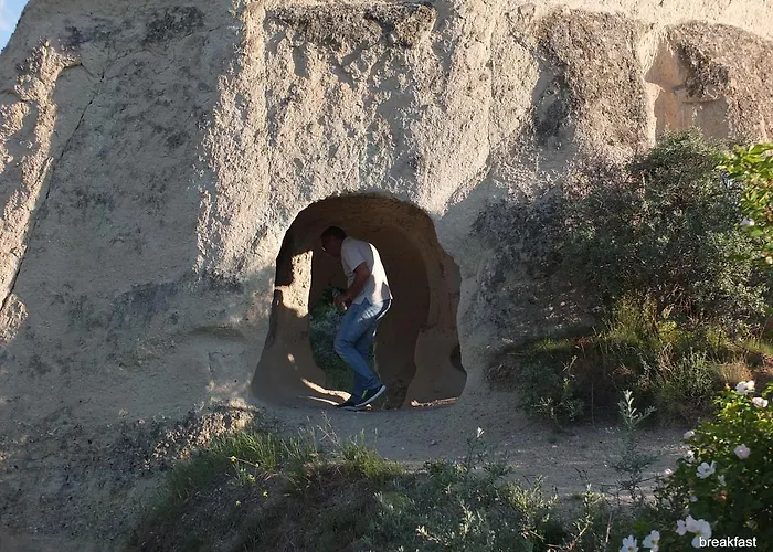 게스트하우스 Anatolia Cave 2*