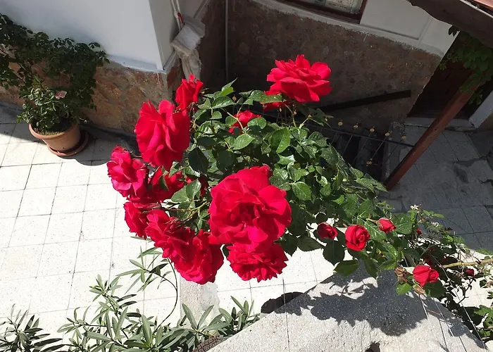 Anatolia Cave 게스트하우스 2*